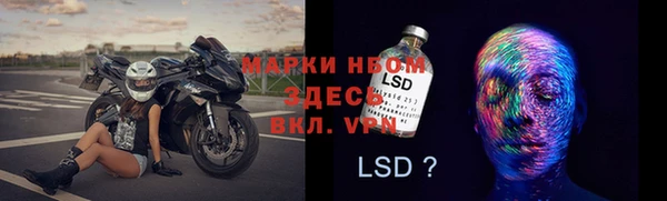 мяу мяу мука Тында
