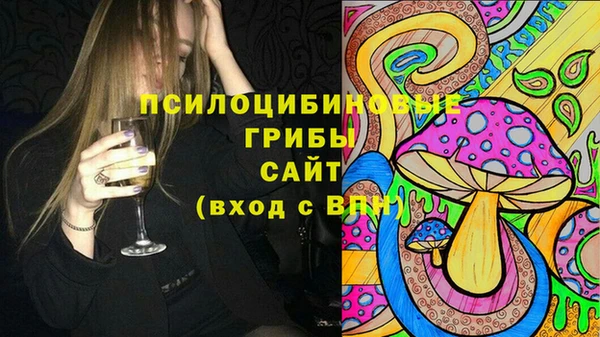 дживик Тутаев