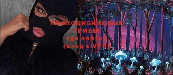 таблы Надым