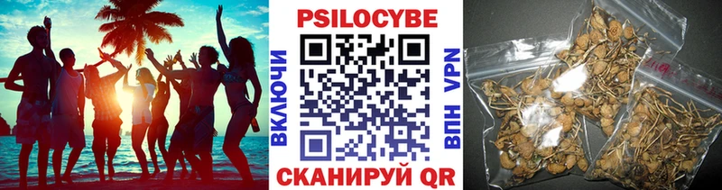 Псилоцибиновые грибы GOLDEN TEACHER сколько стоит Таганрог