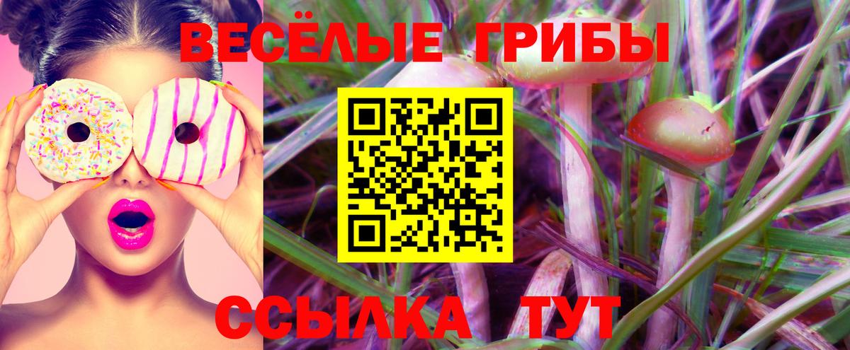 Псилоцибиновые грибы ЛСД Таганрог