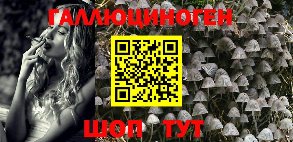 как найти закладки  Таганрог  Галлюциногенные грибы прущие грибы  Галлюциногенные грибы прущие грибы 