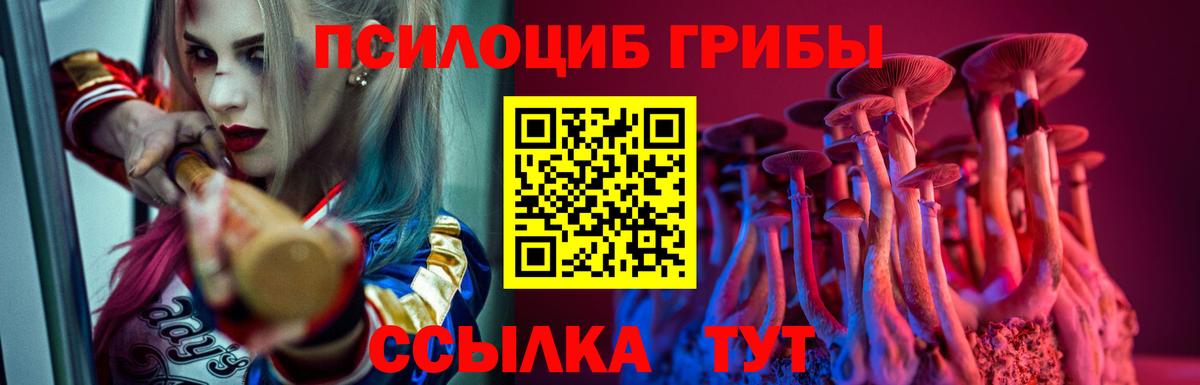 Псилоцибиновые грибы GOLDEN TEACHER Таганрог